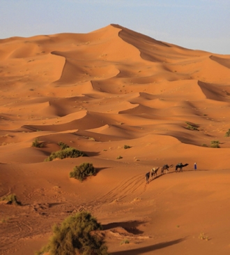 Tour from Casablanca Tour from Casablanca