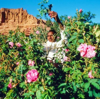 Best Places to Visit in Morocco Best Places to Visit in Morocco